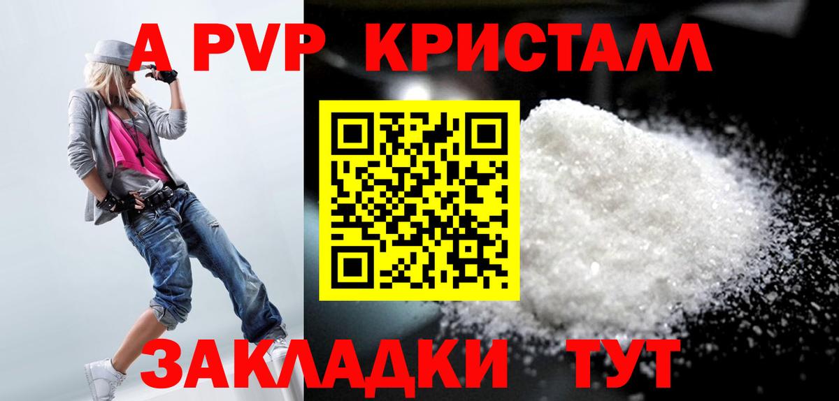 Сосновый Бор  как найти   Вход с VPN  Альфа ПВП крисы CK  Alfa_PVP 