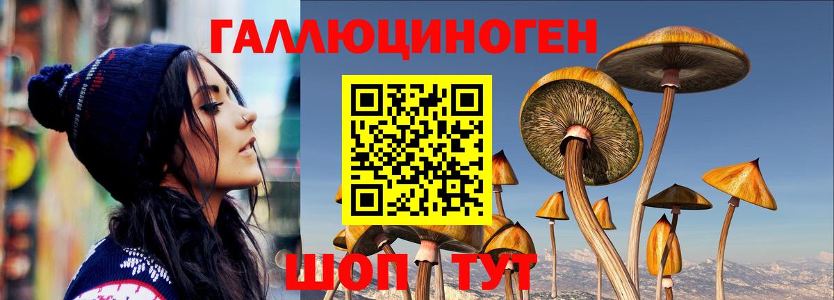 Галлюциногенные грибы GOLDEN TEACHER Сосновый Бор