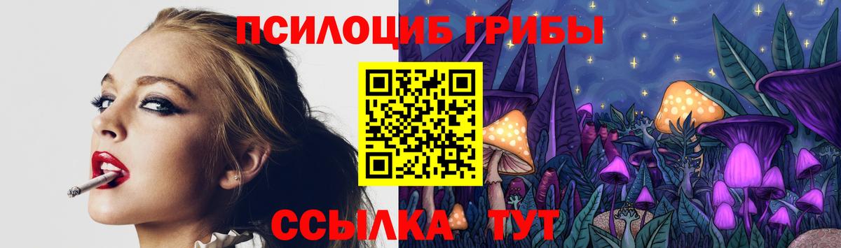 Сосновый Бор  Галлюциногенные грибы MAGIC MUSHROOMS  Вход с VPN  Псилоцибиновые грибы Magic Shrooms 
